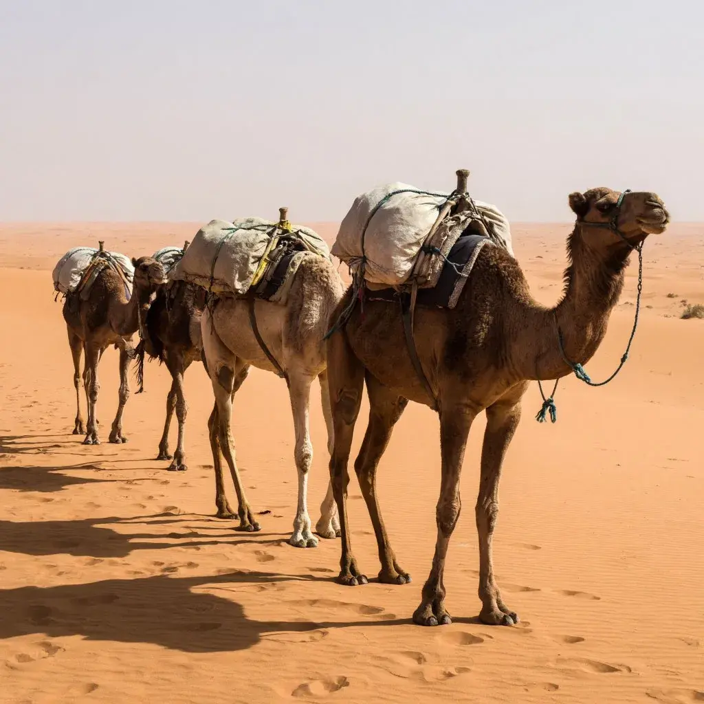 История грузоперевозок до современной логистики